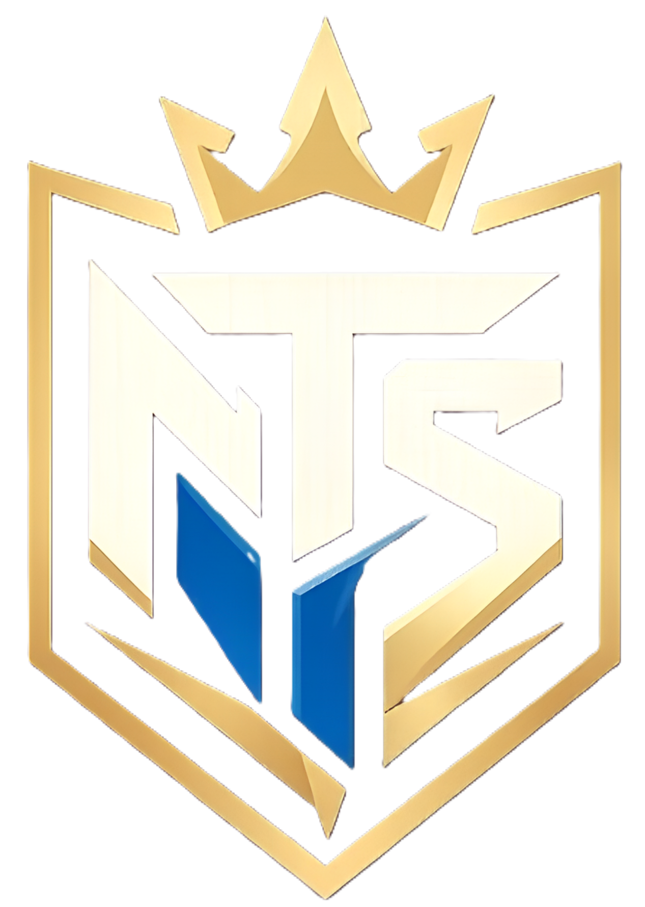 NOT SCAM ESport